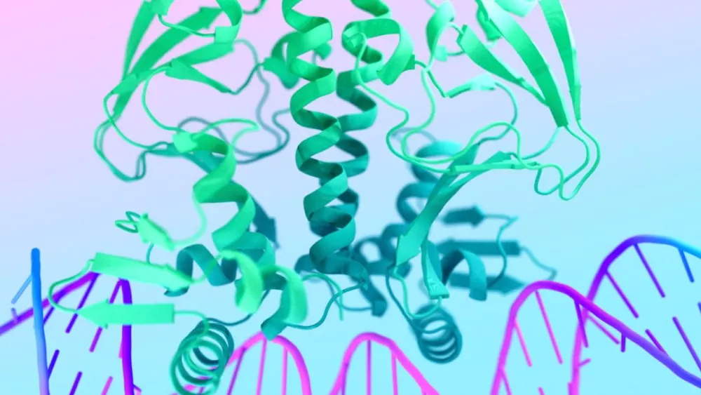 PACS1 syndrome, Schuurs-Hoeijmakers syndrome Digital Research